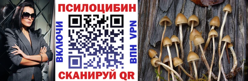 Псилоцибиновые грибы мухоморы  KRAKEN ТОР  Оха 